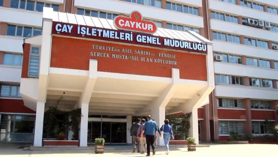 Çaykur 1072 mevsimlik işçi alacak! Başvurular başladı...