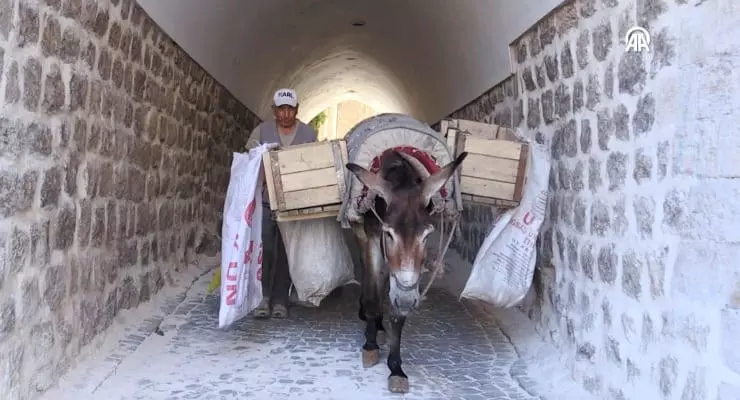 Kadrolu eşeklerin mesaisi 5 saate indirildi
