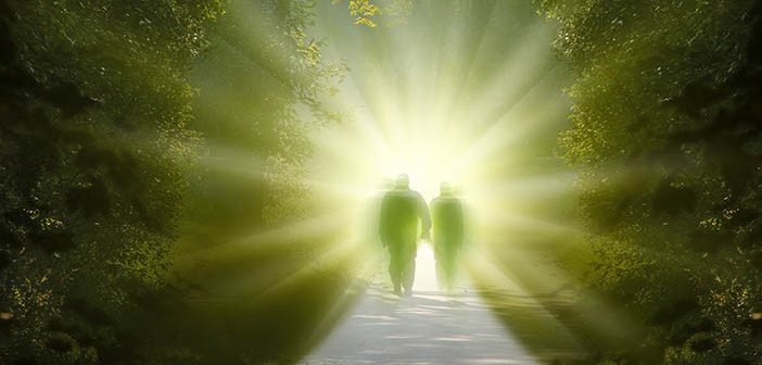 Kamu yönetiminde Davud (a.s.) tövbesi 