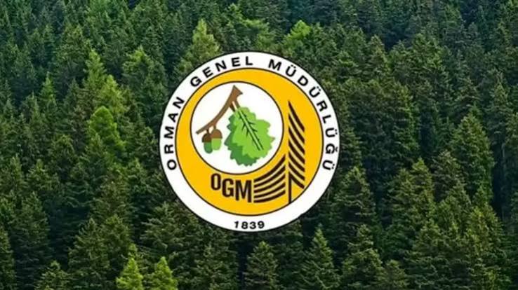Tarım ve Orman Bakanlığı 13 sözleşmeli personel alacak