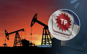 TPAO 366 personel alacak