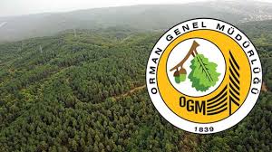 Orman Genel Müdürlüğü 9 sözleşmeli pilot alacak