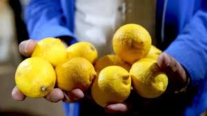 Ticaret Bakanlığı duyurdu: Limon ihracatı durduruldu