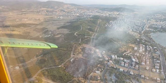 İzmir'in Aliağa ilçesinde orman yangını çıktı