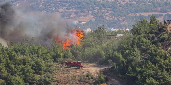 Kaş'ta makilik alanda çıkan yangın kontrol altına alındı