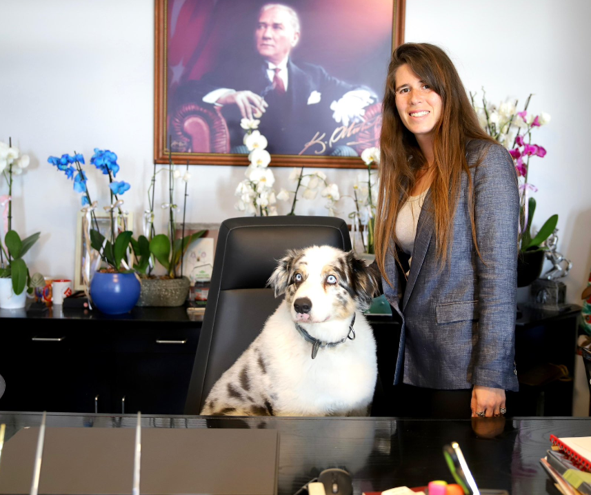 Makam koltuğuna köpeği oturtan Başkana tepki yağdı