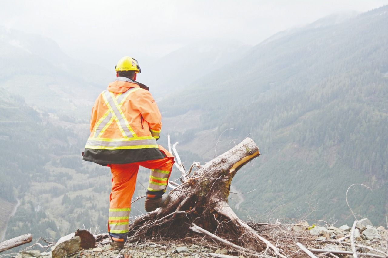 Orman Genel Müdürlüğü 170 personel alacak!
