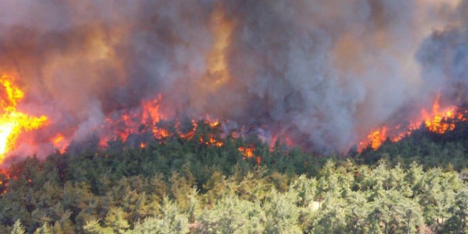 Çanakkale'de iki farklı noktada orman yangını